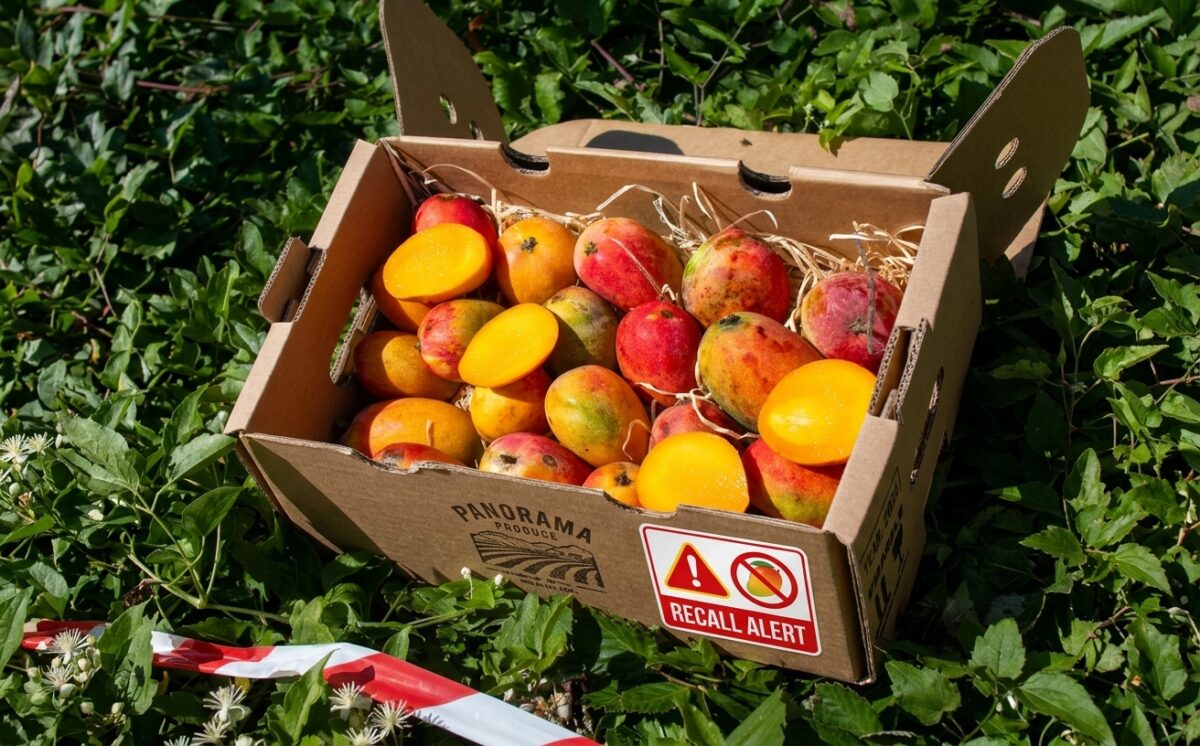 Mangoes (Size 9) recall