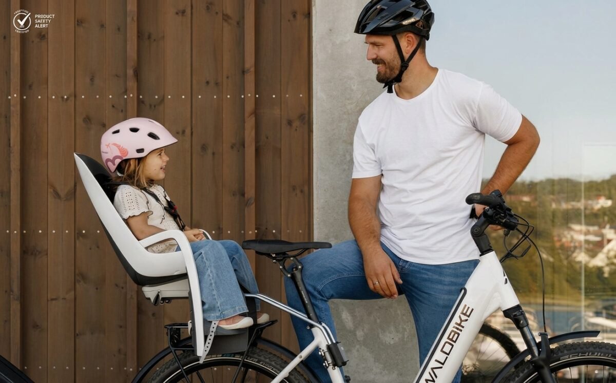 Hamax Buddy child seat recall